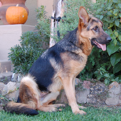 Lola von Merrill sitting